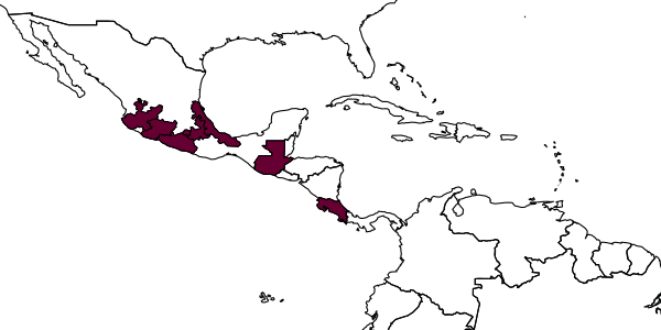 map of Scobina paradorsalis     Smith, 1992